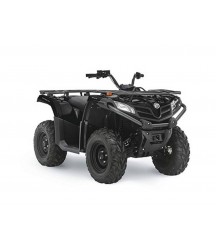 2021 CFMoto CForce 400
